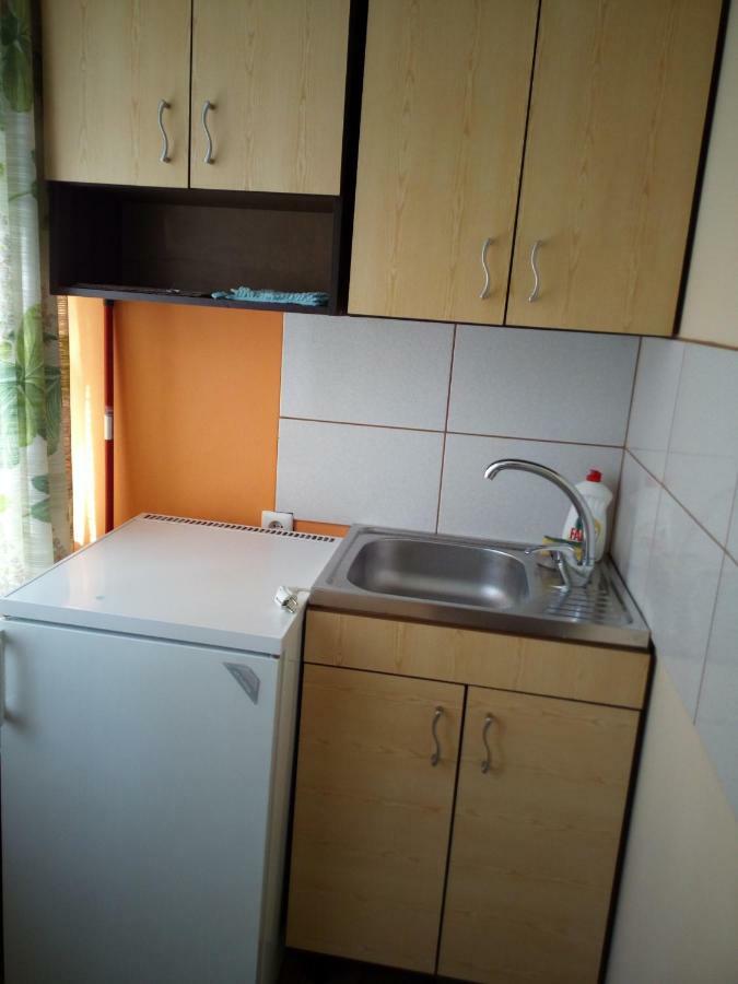 Anykstuko Butas Apartment Anyksciai Luaran gambar
