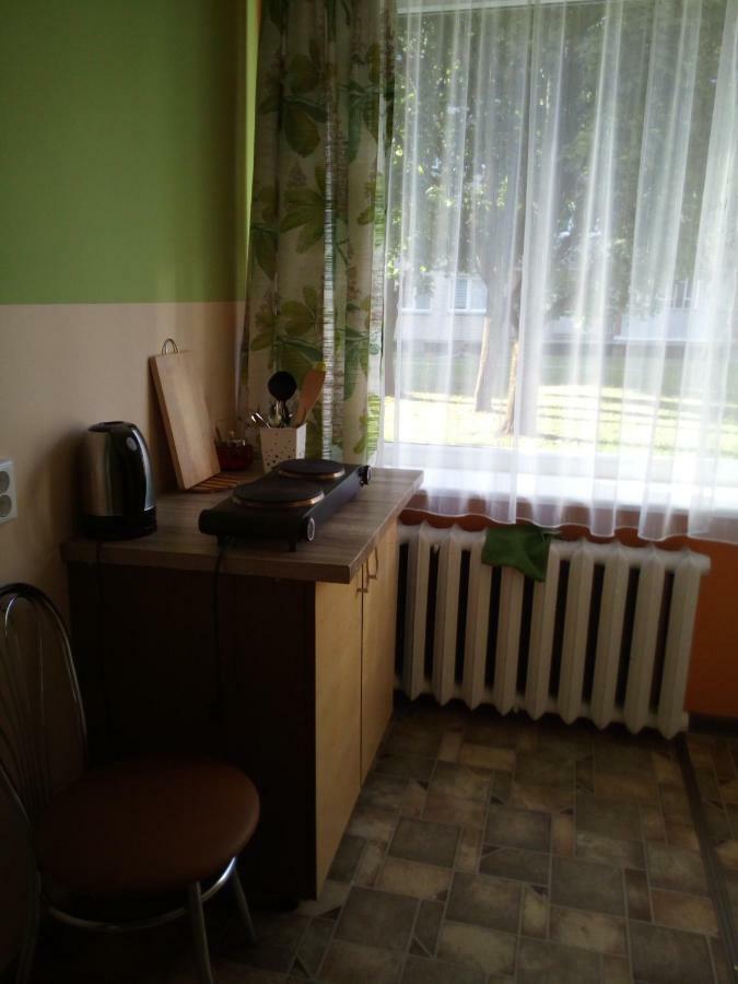 Anykstuko Butas Apartment Anyksciai Luaran gambar