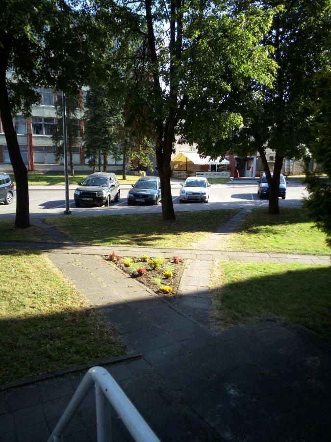 Anykstuko Butas Apartment Anyksciai Luaran gambar